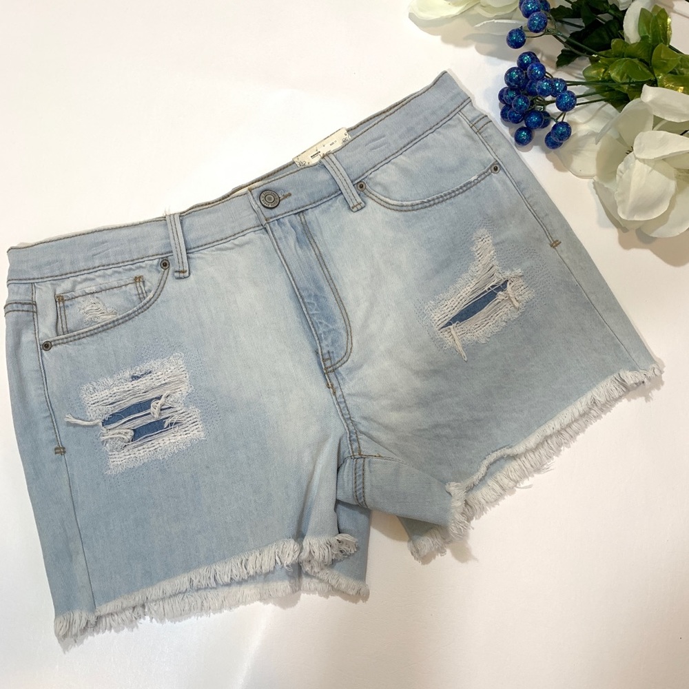 NEW MUDD Jean Shorts Distressed